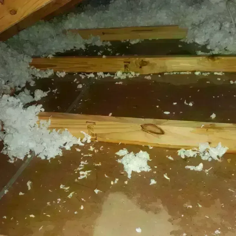 Attic Water Damage in Sunderland, MA